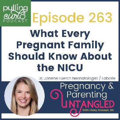 What Every Pregnant Family Should Know About the NICU - 263 What Every Pregnant Family Should Know About the NICU - 263