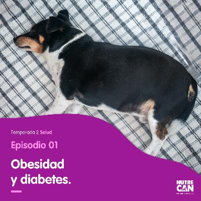 Mi mejor amigo está un poco más gordito. Mi mejor amigo está un poco más gordito.