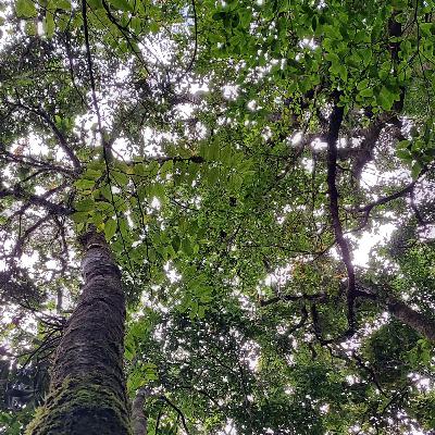 Kehilangan karya Aan Mansyur Kehilangan karya Aan Mansyur