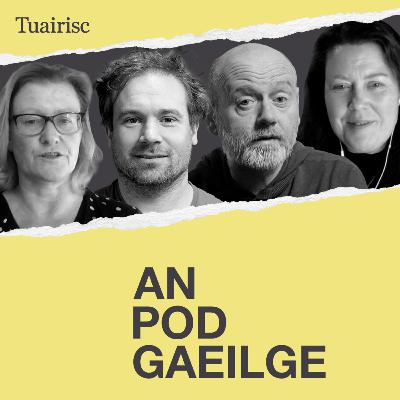 An difríocht idir Béarla is Gaeilge na hArdteiste, díol Arramara agus an státseirbhíseach macánta