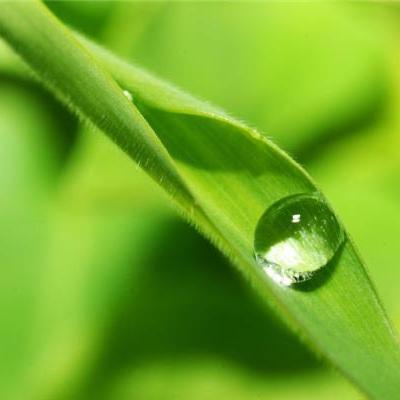 利未記第十一章1-8節 2026.01.24(禮拜六) 利未記第十一章1-8節 2026.01.24(禮拜六)