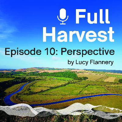 Episode 10: Perspective by Lucy Flannery Episode 10: Perspective by Lucy Flannery
