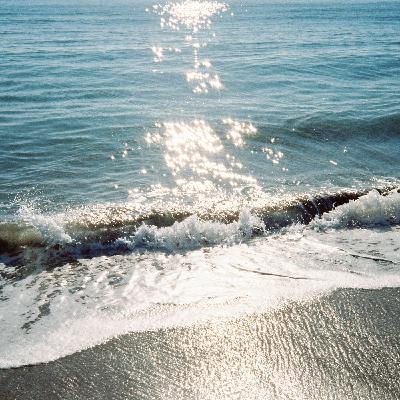 Traditional Chinese Medicine and People