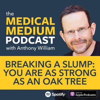 117 Breaking A Slump: You Are As Strong As An Oak Tree