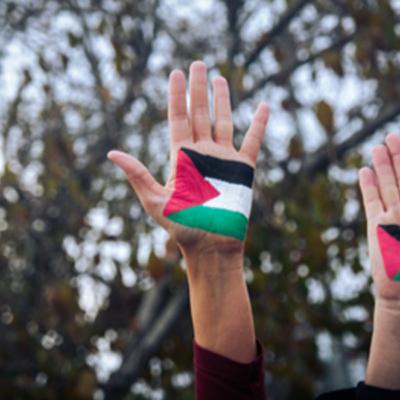 Israel linked to shady company behind Gaza ‘displacement’ flights Israel linked to shady company behind Gaza ‘displacement’ flights