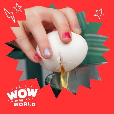 Egg Drop: The Science Behind Cracking Eggs (8/25/25)
