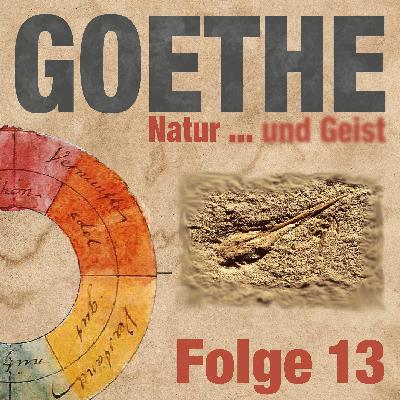 Goethes Flugsaurier