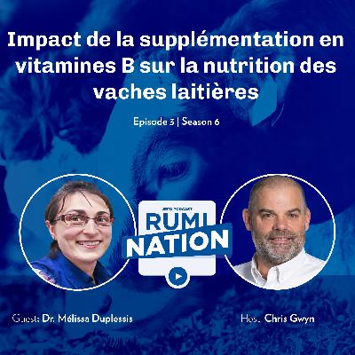 Impact de la supplémentation en vitamines B sur la nutrition des vaches laitières