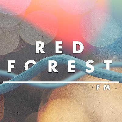 43.阿姆斯特丹故事2.0