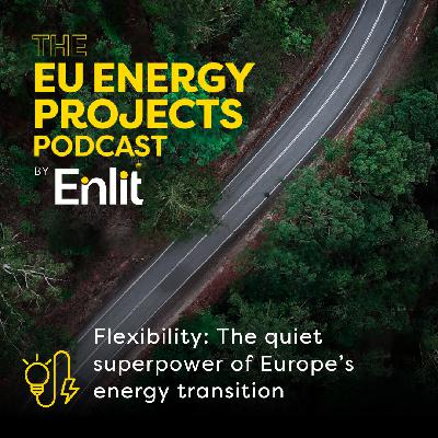 Flexibility: The quiet superpower of Europe’s energy transition