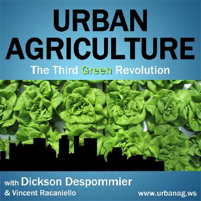 Urban Agriculture 13: Farmbox Greens