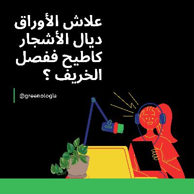 Épisode 1 - علاش الأوراق ديال الأشجار كاطيح ففصل الخريف؟ Épisode 1 - علاش الأوراق ديال الأشجار كاطيح ففصل الخريف؟