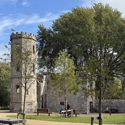 Diarmuid Ó Drisceoil