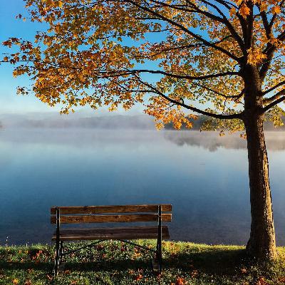 Méditation Guidée Ancrage - 20 minutes - Respiration Profonde Méditation Guidée Ancrage - 20 minutes - Respiration Profonde