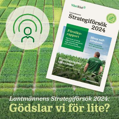 78. Lantmännens Strategiförsök 2024: Gödslar vi för lite?