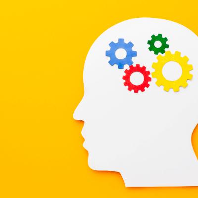 15-1: Sesgos cognitivos: ¿qué impacto tiene esto en la democracia? 15-1: Sesgos cognitivos: ¿qué impacto tiene esto en la democracia?