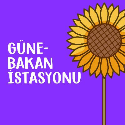 ikinci sezon, bir| yeni yıl kararlarımızı neden gerçekleştiremiyoruz?