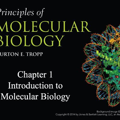 Mol Bio Intro Tropp Chapter 1