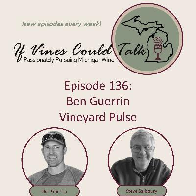 Episode 136: Ben Guerrin - Vineyard Pulse