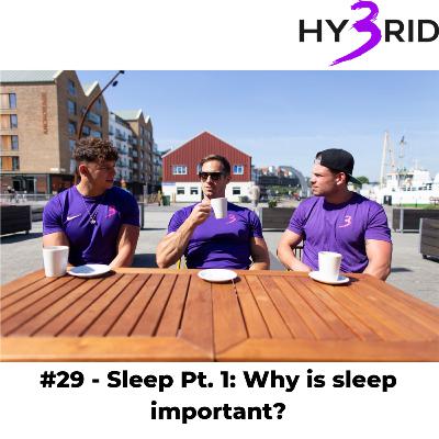 #29 - Sleep Pt. 1: Why is sleep important? #29 - Sleep Pt. 1: Why is sleep important?