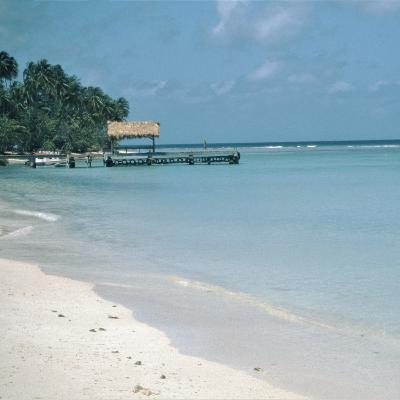 Folge 7: Ausgeraubt und Voodoo Zauber auf Tobago