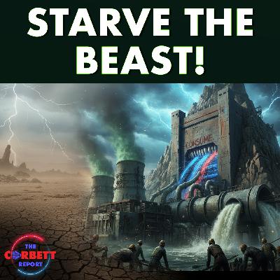 Starving the Data Centre Beast - #SolutionsWatch