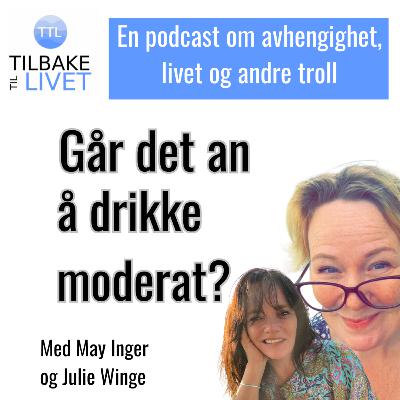 Går det an å drikke moderat?