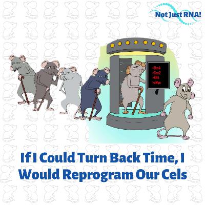 Reprogramming our Cells: Turning Back the Molecular Clock