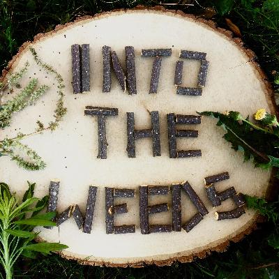 14. Nature Calls: Weeds and IPM 14. Nature Calls: Weeds and IPM