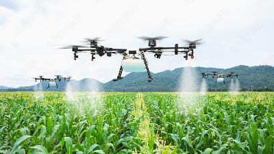 Drones As Field Scouts