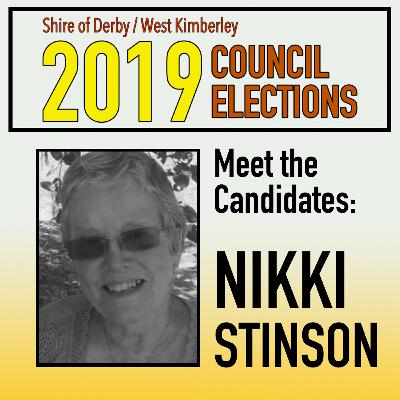 Nikki Stinson - Council Election Nikki Stinson - Council Election