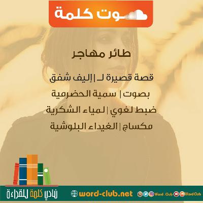 طائر مهاجر | قصة قصيرة لـ إليف شفق