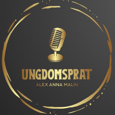 Konflikter og konflikthåndtering