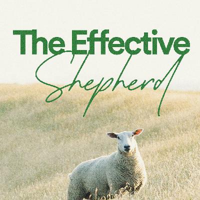 The Effective Shepherd - Ps. Amy Pugh