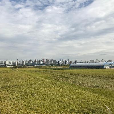 What do we want to do before the end of this year What do we want to do before the end of this year