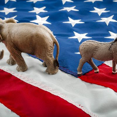 Are the parties too focused on policy programs?