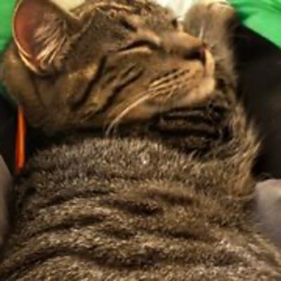 Episode 3049 CWSA 12/21/25