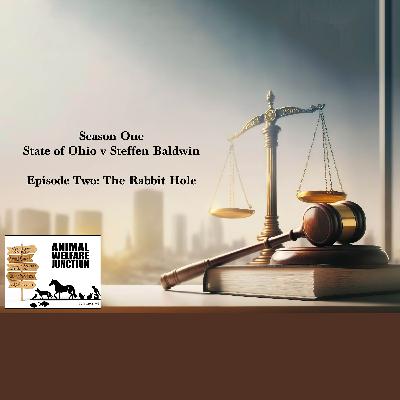 Season 1: State vs Steffen Baldwin / Episode 2: The Rabbit Hole