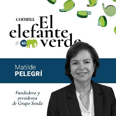 63. El papel de los medios sectoriales en tiempos de polarización con Matilde Pelegrí, fundadora de Grupo SENDA 63. El papel de los medios sectoriales en tiempos de polarización con Matilde Pelegrí, fundadora de Grupo SENDA