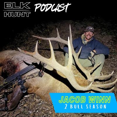 Unpressured Bulls in the Alpine: Finding Elk Gold Unpressured Bulls in the Alpine: Finding Elk Gold