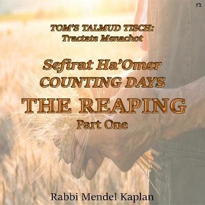 COUNTING DAYS - THE REAPING