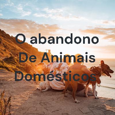O abandono de animais cresce 70% durante a pandemia.