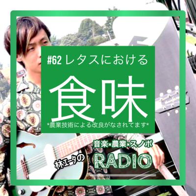 #62 レタスにおける食味 #62 レタスにおける食味