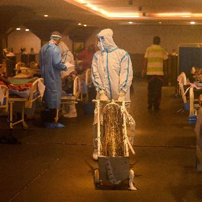 The Main Reason For Increasing Case In Bihar In COVID-19.