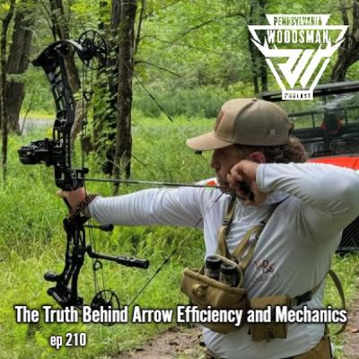 The Truth Behind Arrow Efficiency and Mechanics