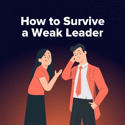 When Your Boss Has No Backbone: The 4 Behaviours That Kill Performance