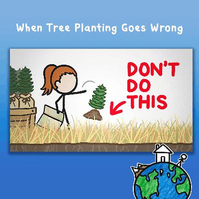 When Tree Planting Goes Wrong