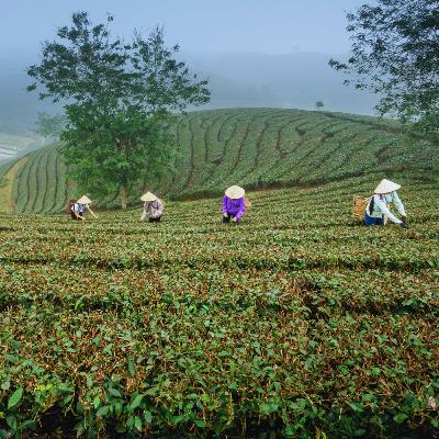 Understanding God's Grace - Richard E. Simmons III Understanding God's Grace - Richard E. Simmons III