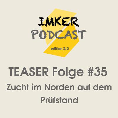 IMKERPODCAST #35 - TEASER: Zucht im Norden auf dem Prüfstand