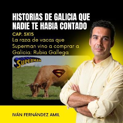 La raza de vacas que Superman vino a comprar a Galicia: Rubia Gallega